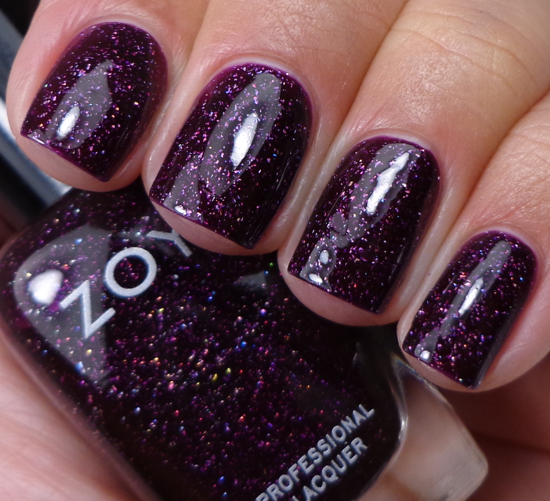 Zoya Zenith Collection - Holiday & Winter 2013 - Of Life and Lacquer