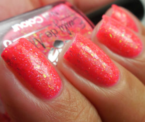 Emily de Molly Color4Nails Group Customs